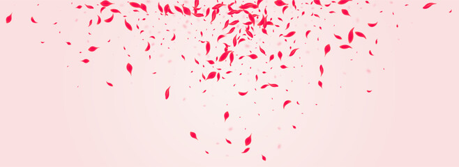 Scarlet Rose Vector Pink Panoramic Background.