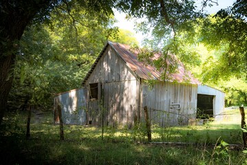 Old decrepit wooden shack on the edge of the woods