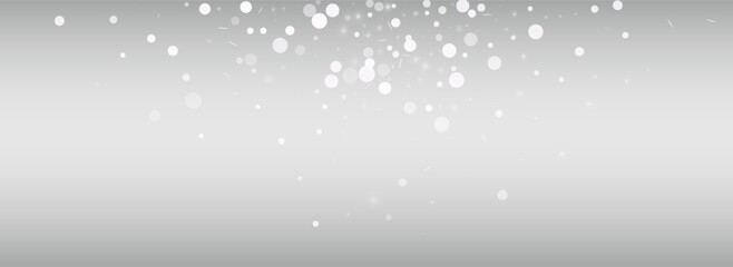 Light Snowfall Vector Silver Panoramic