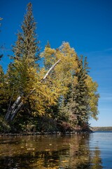 Lush autumn trees on the shore of a lake in Prince Albert National Park, Saskatchewan