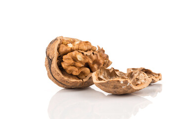 Walnut nut on white