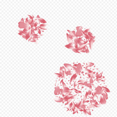 Pink Lotus Vector Transparent Background. Leaf