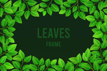 Rectangular frame of young green leaves with an oval opening on a dark background. Vector illustration, design element.