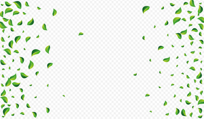 Green Leaves Falling Vector Transparent