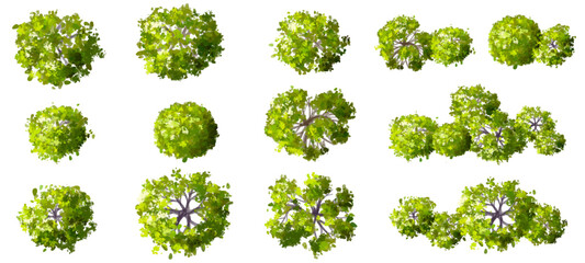 Vector watercolor of green tree top view isolated on white background for landscape layout plan and architecture drawing, elements for environment and garden,blooming botanical elements  