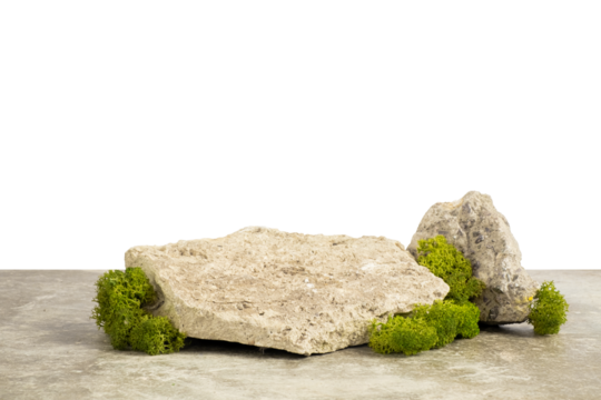 Podium embossed stone and green moss for the presentation of products  on a transparent background. Natural style	