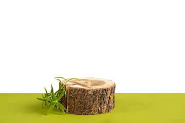 wooden round saw cuts and a small branch of rosemary on a green and transparent background. Natural podium for advertising cosmetic products and body care. Nature concept.