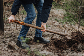 Woman gardener digs a hole with a shovel on the ground outdoors, outdoors in the garden. Photography, gardening, portrait.
