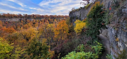 Bird's eye view of autumn-colored trees at Niagara Gorge