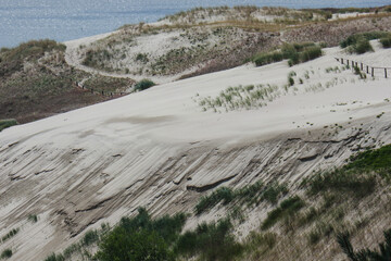 Nida dunes in summer