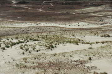 Nida dunes in summer