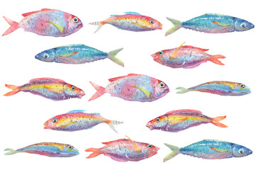 Shoal of fish watercolor drawing. A group of fish watercolor brush painting, Watercolor splash. Isolated colourful fish illustration © Alena