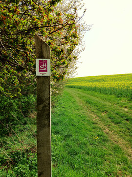 Schild von Wanderweg vor Wiesenlandschaft mit Weg, Blumen und Bäumen vor blauem Himmel bei Harlingen auf dem Premium-Wanderweg Traumschleife der Bietzerberger im Landkreis-Merzig-Wadern, Saarland. 