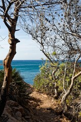 View of the sea and the coastal cliff