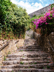 Obraz premium Old stone blocks steps of stairway up with stone walls and violet flowers