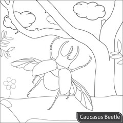 Beetle insect coloring page for kids