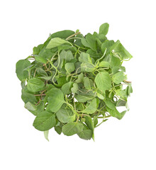 Green spinach on transparent png. Top view