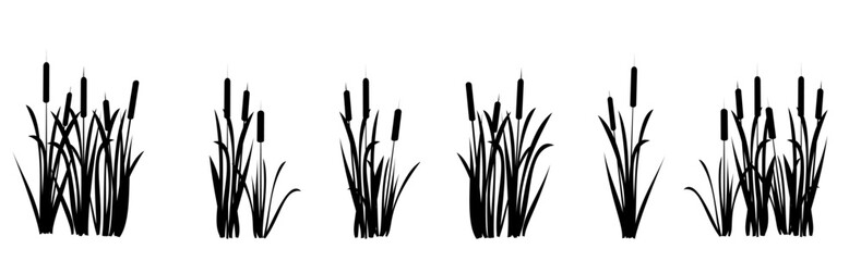 Set of shoots of reeds. Swamp landscape. View of the river bank. Silhouette picture. Isolated on white background. Vector.