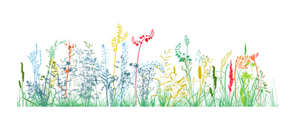 Colored meadow grass. Vector illustration