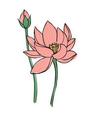 lotus art drawn