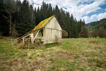 Old hay shack on a meadow with forest and hills in the background