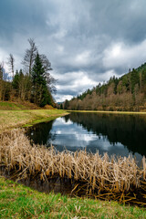 Landscape view of a lake in the Black Forest