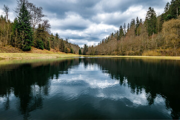 Landscape view of a lake in the Black Forest