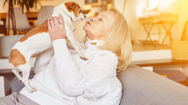 Animal loving senior woman kissing dog as pet at home