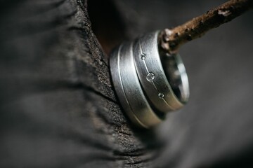 Closeup of wedding silver rings hanging from tree branch against blurred background