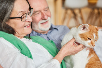 Senior couple stroking a pet cat