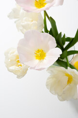 Top view of white and pink tulips in vase on light table
