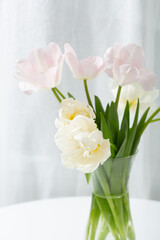 Close up of white and pink tulips in vase