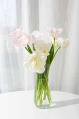 Close up of white and pink tulips in vase on light table
