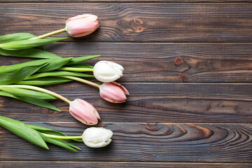 Pink and white tulips on a colored holiday frame Background. Floral spring background for March 8, birthday, mother's day. copy space top view flat lay