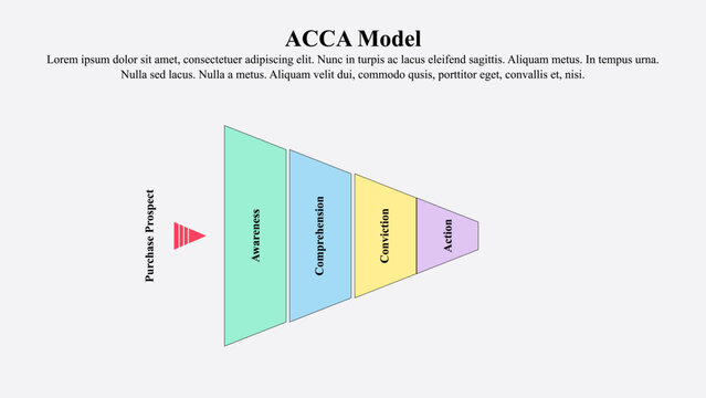 Infographic presentation template of ACCA or DAGMAR model.