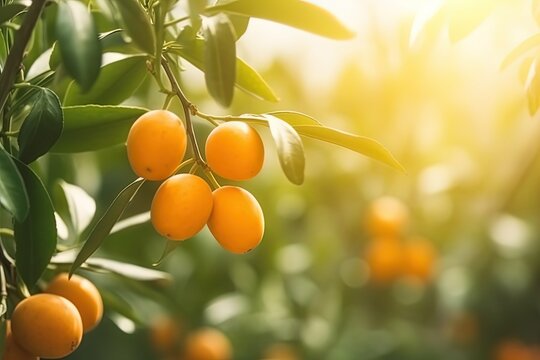 plango in orchard plantation, idea for agricultural and fruitfulness theme concept background wallpaper,  Generative Ai