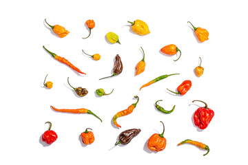 Assortment of colored peppers isolated on white background. Different varieties, trendy hard light