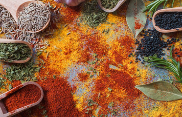 Obraz na płótnie Canvas A set of fragrant spices. Turmeric, paprika, dried parsley, dill, rosemary, cumin, garlic and bay leaf on a gray background. Free space for text.