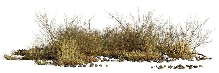 dry plants and pebbles, desert scene cut-out, isolated on transparent background banner - obrazy, fototapety, plakaty