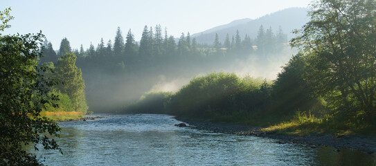 Panoramic view of forest meadow river in morning mist fog. Beautiful of nature