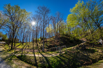Fototapeta na wymiar Sunshine on a blue sky among the trees in the forest with the first buds of spring in the hills of Saluzzo, Piedmont, Italy