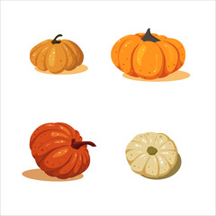 Set of round pumpkins in color on white background in cartoon style. Autumn vegetables concept of farm healthy food