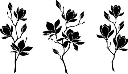 Magnolia flowers. Set of magnolia branches. Vector black silhouettes isolated on a white background