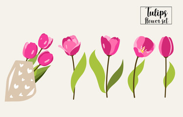 Set of beautiful tulips in vector.
