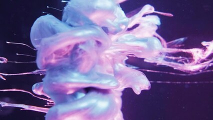Vertical video. Paint drop. Ink water. Smoke cloud. Blue pink purple neon color light shiny fluid splash motion on glass cube edge abstract background. - Powered by Adobe