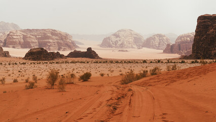 Majestic view of the Wadi Rum desert, Jordan, The Valley of the Moon.