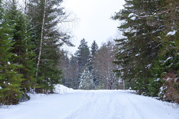 Fototapeta na wymiar Old snowy road through coniferous forest