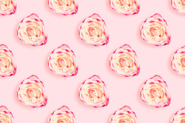 Repetitive pattern made of rose flower on a pink pastel background. Floral backdrop.