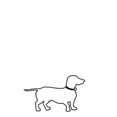 Minimal Dog Dachshund