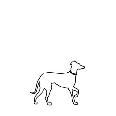 Minimal Dog Greyhound